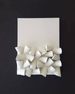 sergio-de-camargo-relieve